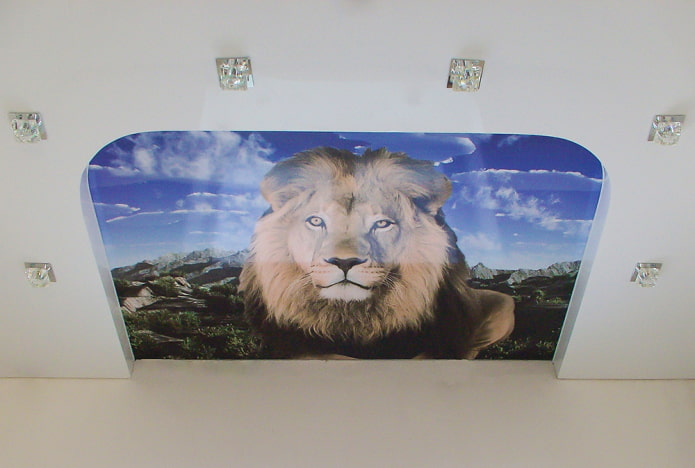 потолок с изображением льва