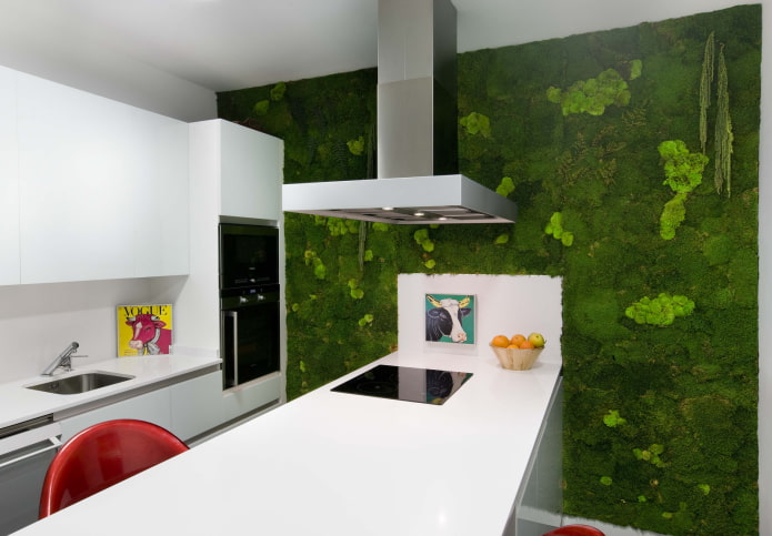 зеленая стена на кухне