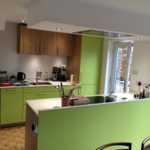 Зеленый кухонный гарнитур: особенности выбора, сочетания, 60 фото-15
