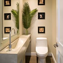Интерьер туалета маленького размера: особенности, дизайн, цвет, стиль, 100+ фото-1