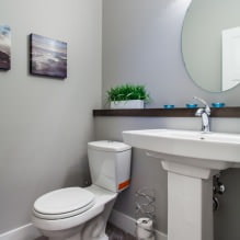 Интерьер туалета маленького размера: особенности, дизайн, цвет, стиль, 100+ фото-23