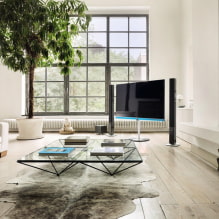 Телевизор в гостиной: фото, выбор места расположения, варианты дизайна стены в зале вокруг ТВ-7