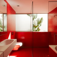 Красная ванная комната: дизайн, сочетания, оттенки, сантехника, примеры отделки туалета-1