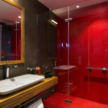 Красная ванная комната: дизайн, сочетания, оттенки, сантехника, примеры отделки туалета-3
