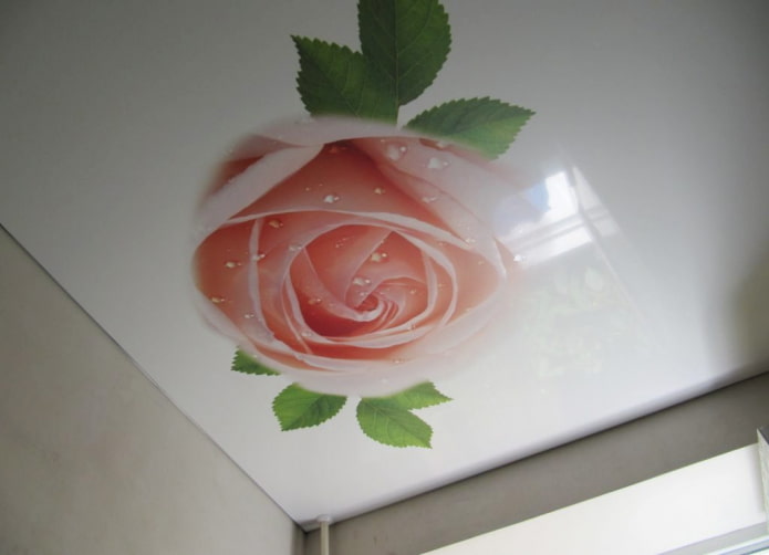 натяжное полотно с фотопечатью в виде розы