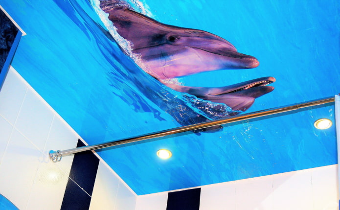 натяжное полотно с изображением дельфинов