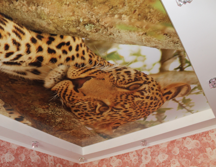 натяжное полотно с изображением леопарда