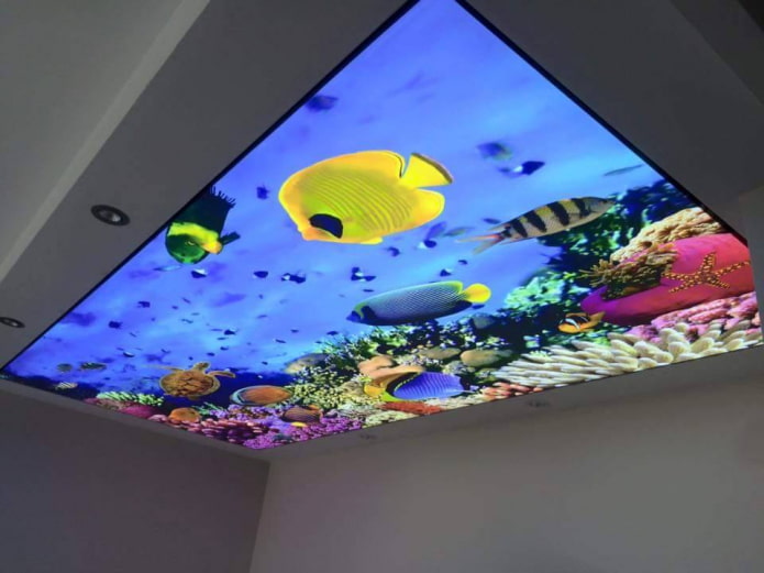 потолок с 3д фотопечатью, имитирующей аквариум