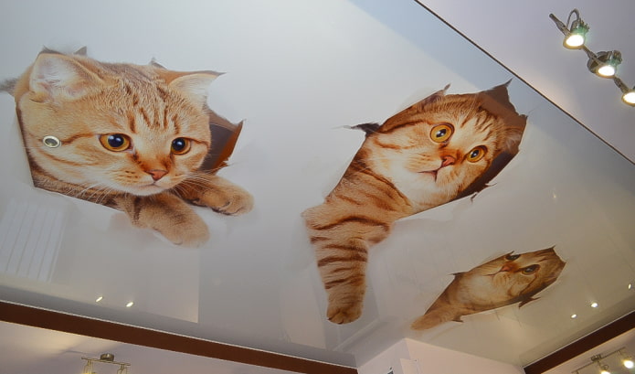 потолок с изображением котят