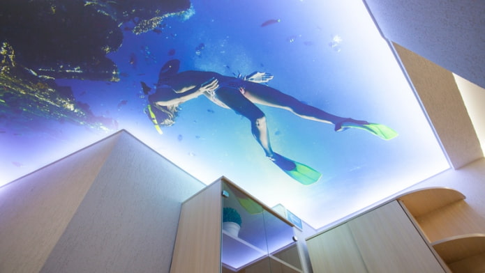 3д потолок с изображением моря и водолаза