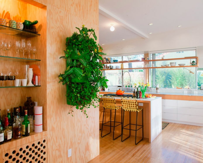 растения на стене в интерьере кухни