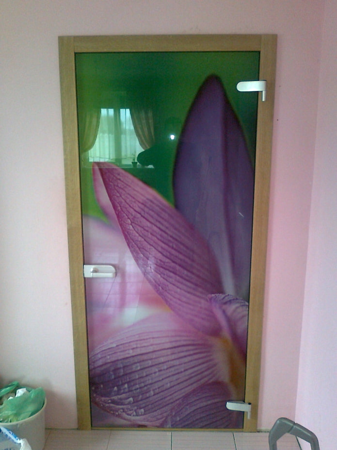 Межкомнатные двери со стеклом: фото, виды, дизайн и рисунки, цвета, формы вставок