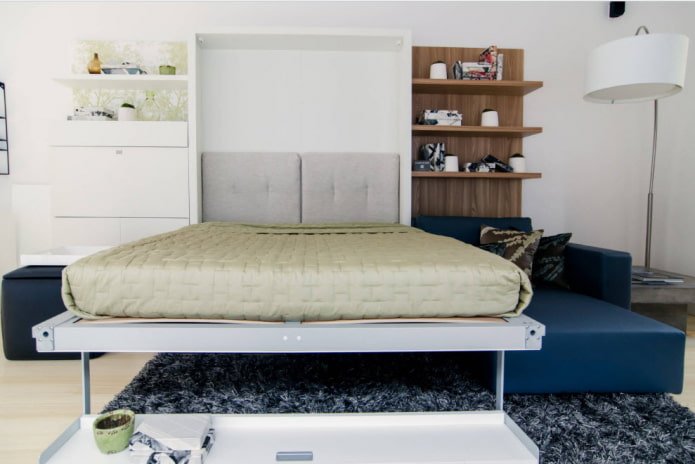 шкаф-кровать с диваном в интерьере