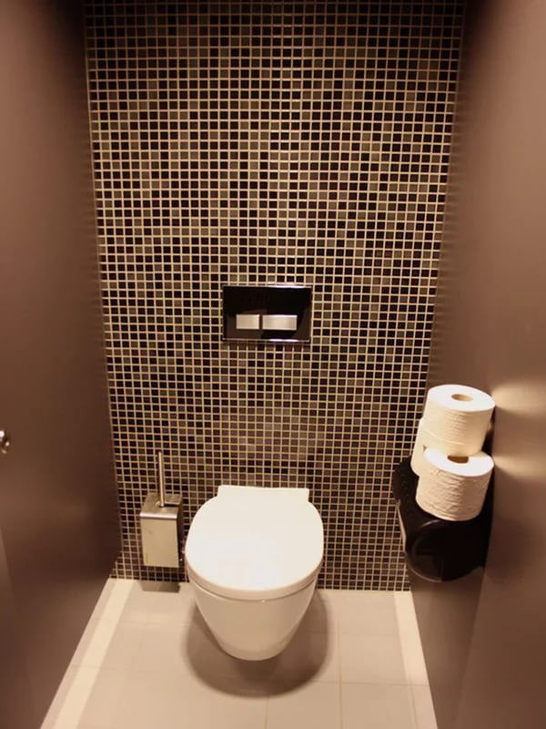 Туалет Современный Дизайн С Фото