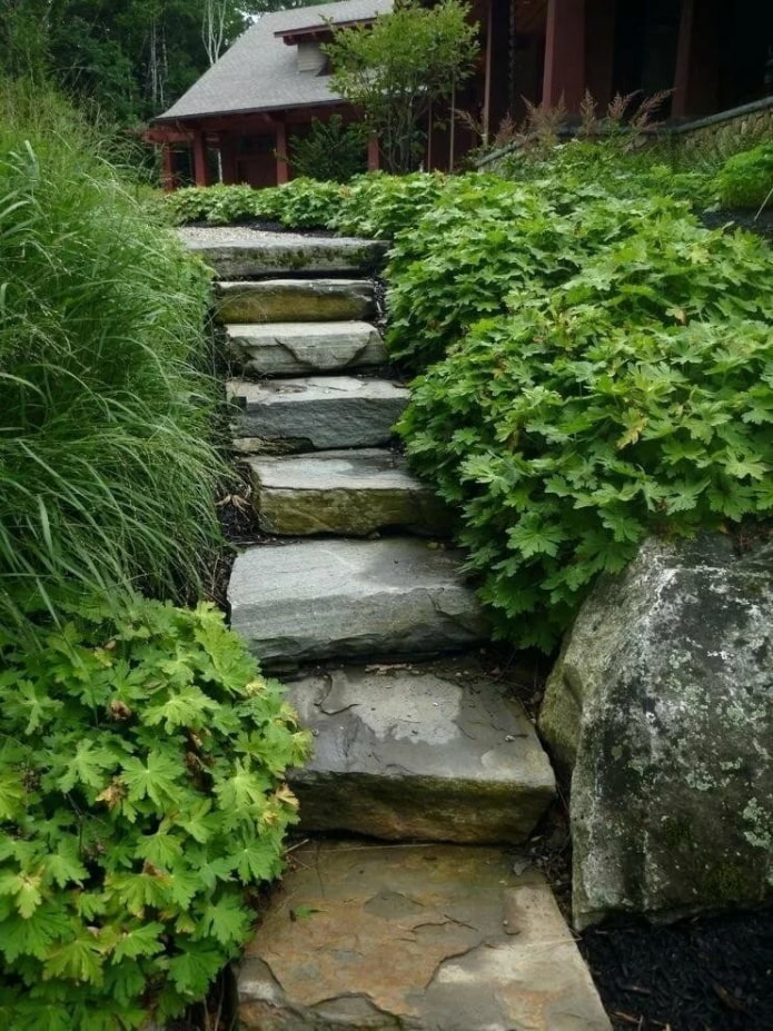 каменная лестница в саду