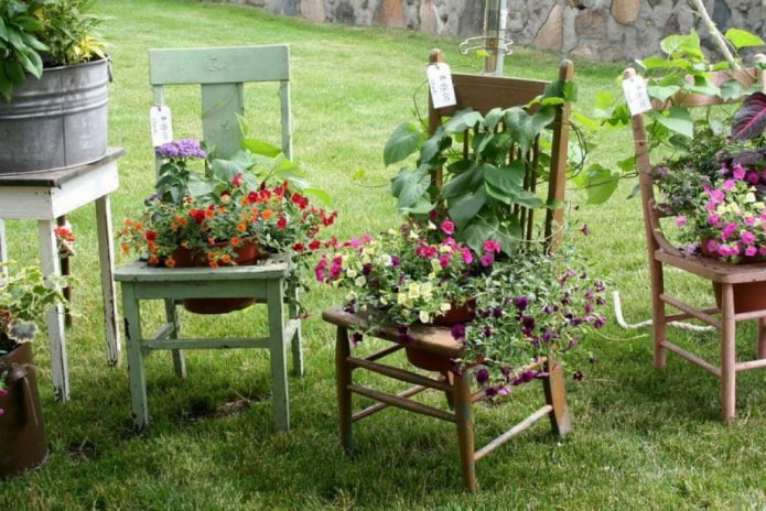 Цветы в стульях