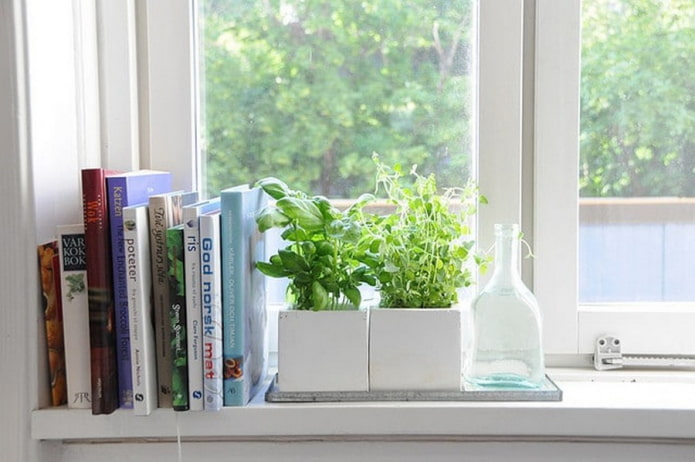 книги и растения на подоконнике
