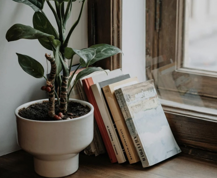 книги на подоконнике