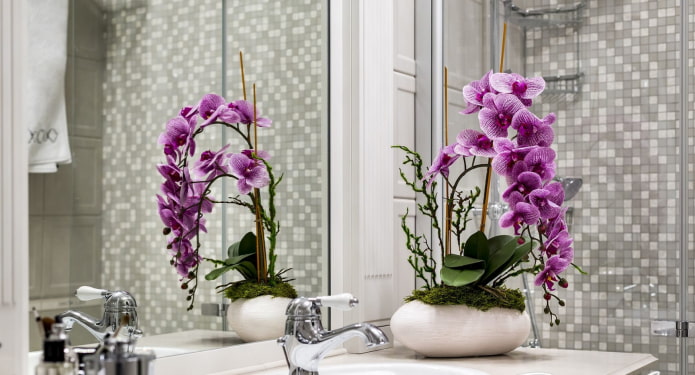 орхидея в ванной
