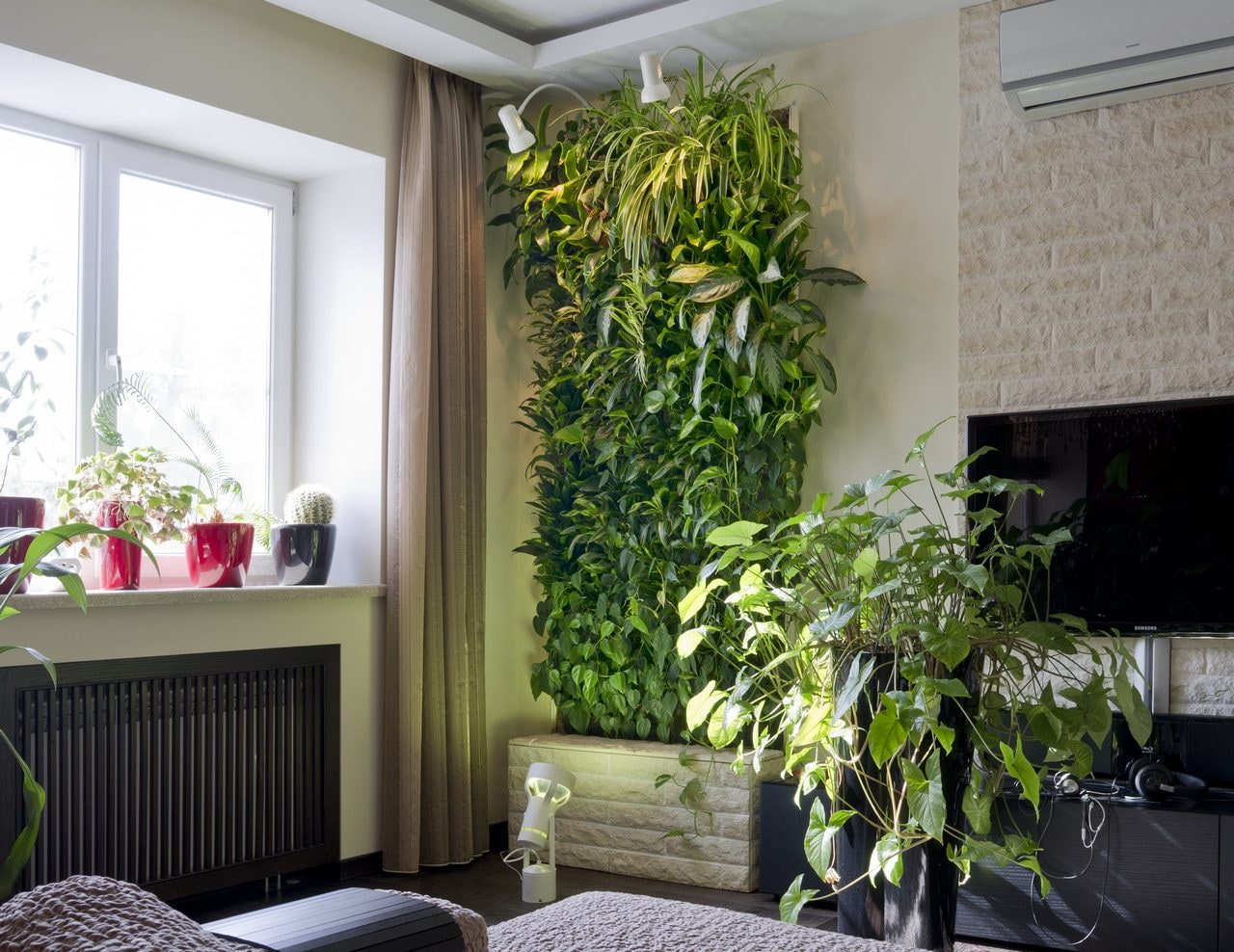 Вертикальное озеленение в квартире