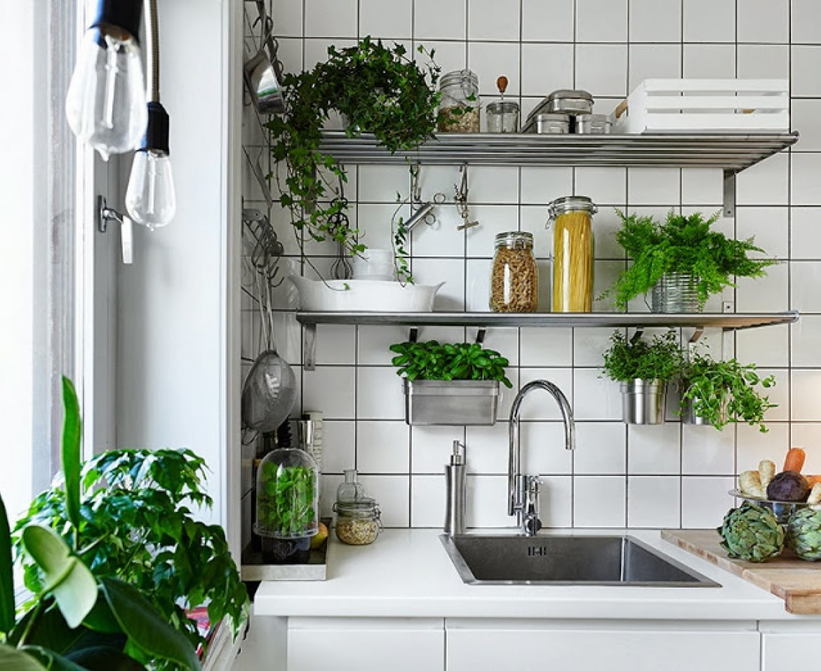 Кухонные полочки с растениями