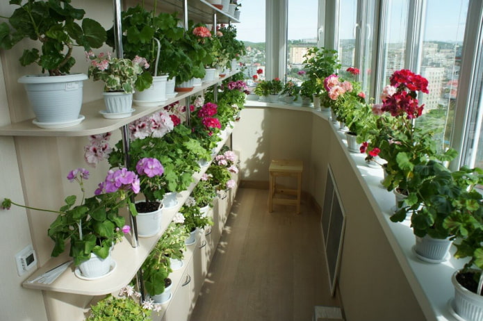 полки для цветов на балконе