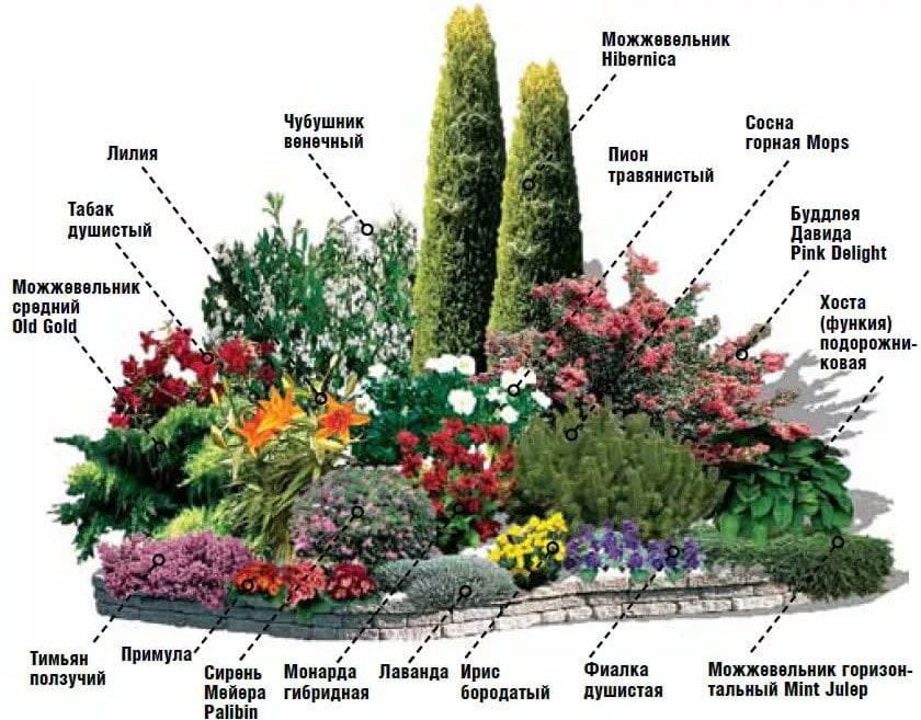 Миксбордеры в саду: секреты гармоничных композиций, готовые схемы и 71 фото
