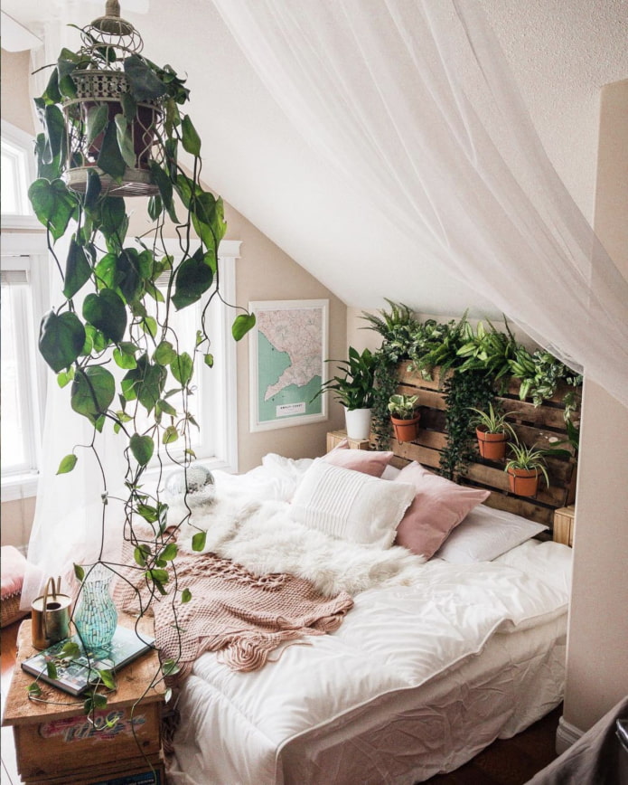 живые растения в спальне
