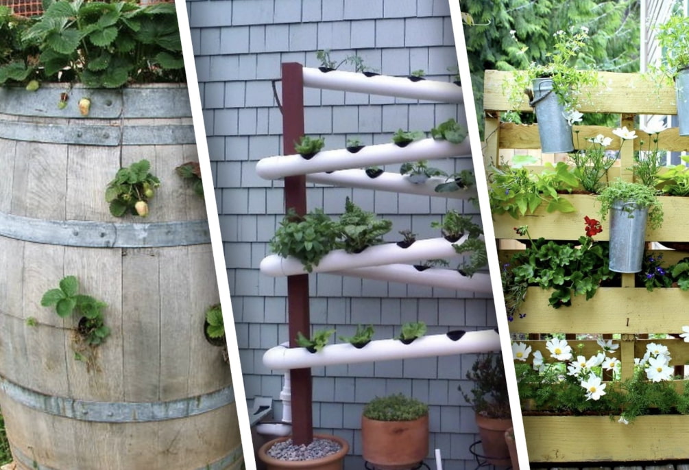 Как сделать вертикальные грядки на садовом участке