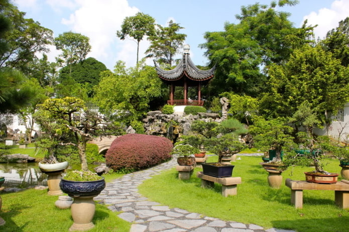 китайский сад для медитаций