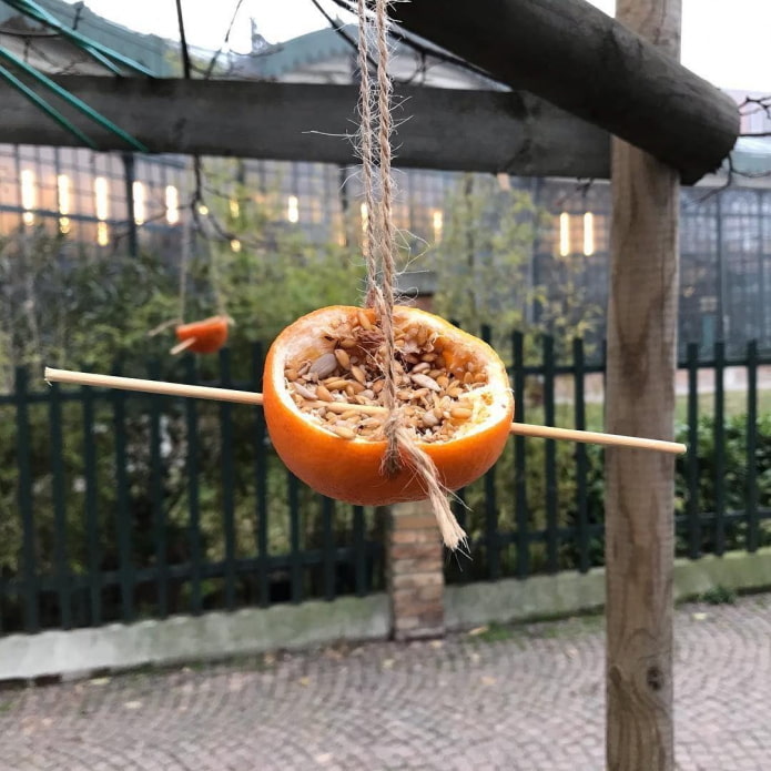 Апельсин, наполненный семенами для птиц
