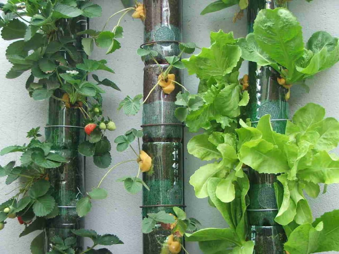 вертикальный огород из пластиковых бутылок