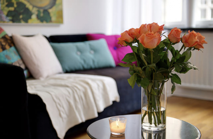 студия 27 кв. м.