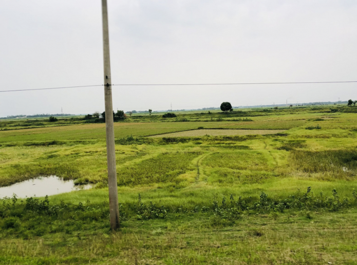 Гектар земли