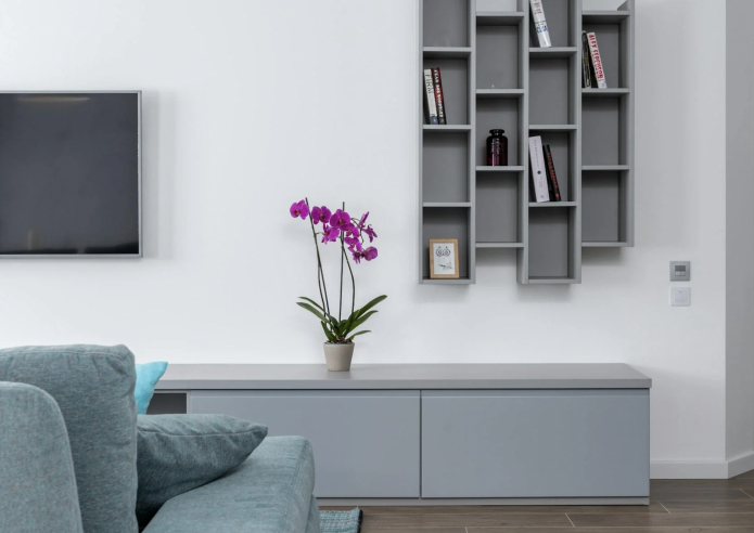 орхидея в горшке