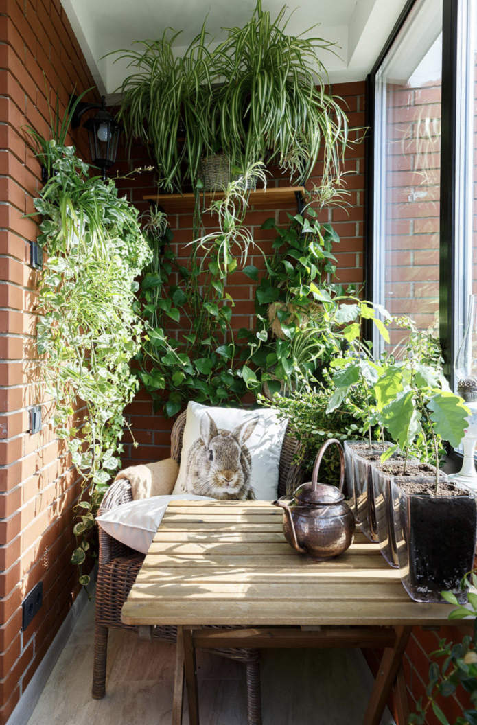 зелень на балконе