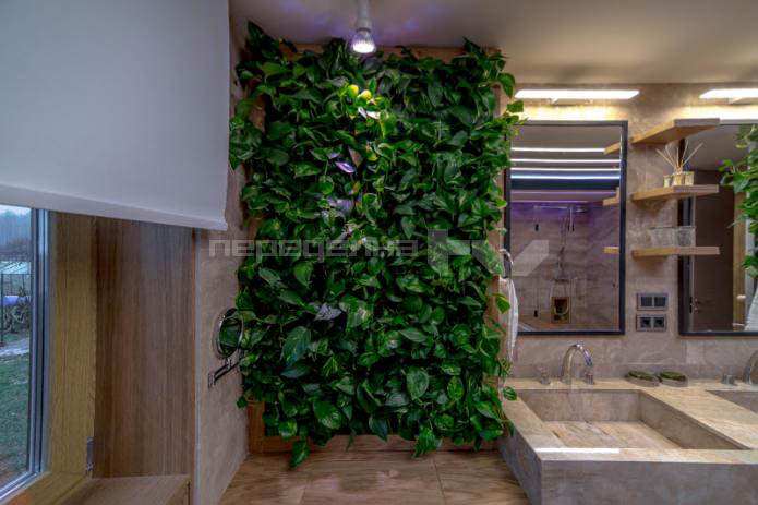 живые растения на стенах в интерьере ванной комнаты