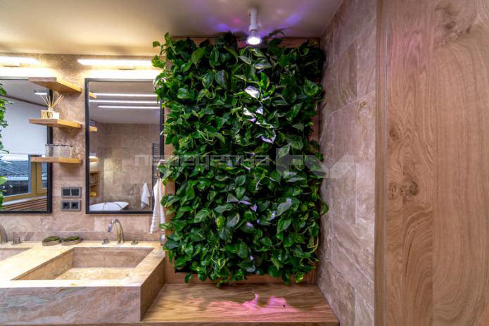 живые растения на стенах в интерьере ванной комнаты
