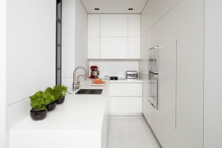 Белый кухонный гарнитур: особенности выбора, сочетания, 70 фото в интерьере