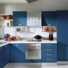 Фото дизайна кухни с синим гарнитуром-4