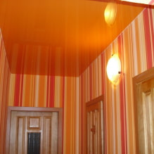 Натяжной потолок в коридоре и прихожей: виды конструкций, фактуры, форм, освещение, цвет, дизайн-2