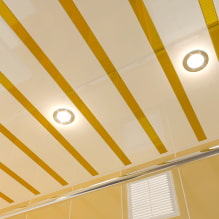 Реечный потолок: фото, виды (из дерева, пластика, металла, алюминия), формы, дизайн, цвет-0