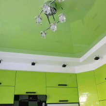 Зеленый потолок: дизайн, оттенки, сочетания, виды (натяжной, из гипсокартона, покраска, обои)-5