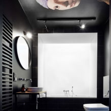 Потолок в туалете: виды по материалу, конструкции, фактуре, цвету, дизайн, освещение-2
