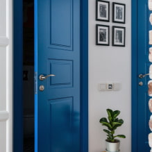 Двери в скандинавском стиле: виды, цвет, дизайн и декор, выбор фурнитуры-2