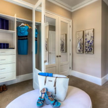 Двери в гардеробную комнату: виды, материалы, дизайн, цвет-0