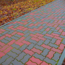 Тротуарная плитка: виды, формы, варианты текстуры, цвета, рисунки и узоры, примеры раскладки-1
