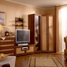 Угловой шкаф в гостиную: виды, формы, цвета, варианты наполнения, примеры шкафов-купе в зале-2