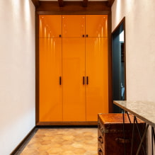 Шкаф в прихожую и коридор: виды, внутреннее наполнение, расположение, цвет, дизайн-3