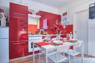 Кухня красного цвета: особенности дизайна, фото, сочетания